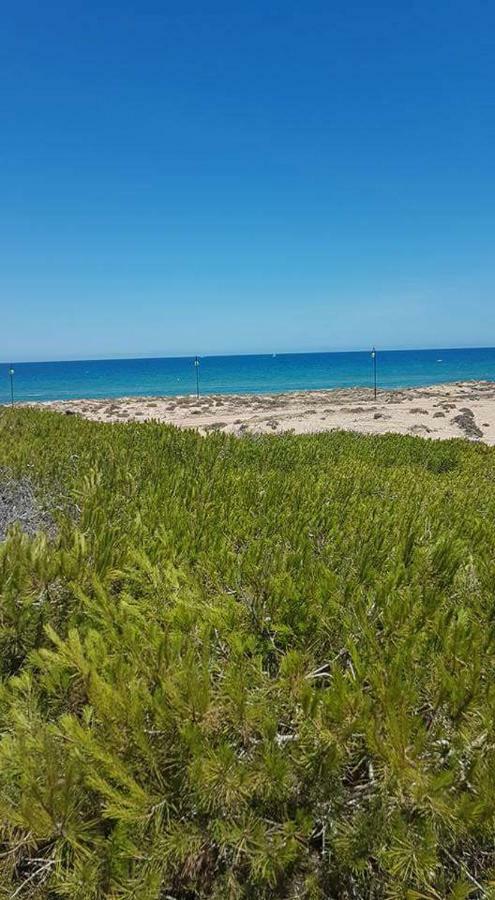 Apartament Anna La Mata  Luaran gambar
